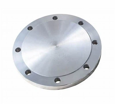 600lb/900lb ss निकला हुआ किनारा