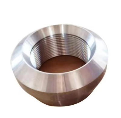 एमएसएस एसपी-97 डीएन50 डीएन100 ए182 एफ304 क्लास 3000 स्टेनलेस स्टील पाइप फिटिंग थ्रेडोलेट